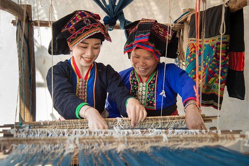 Giữ cho 'màu rừng' tươi mãi