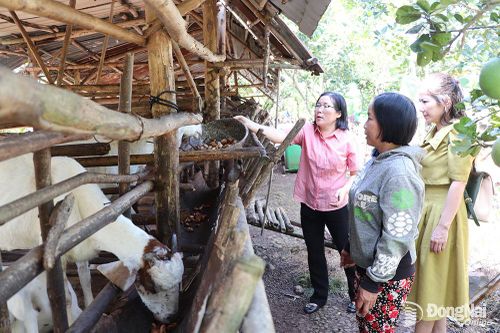 Thu nhập bình quân đầu người đạt trên 80 triệu đồng