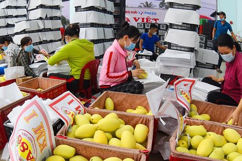 Năm 2025, huyện Cao Lãnh phấn đấu đạt chuẩn nông thôn mới nâng cao