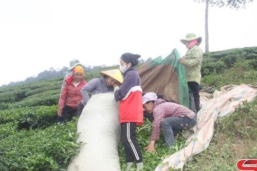 Nhiều hoạt động thiết thực giúp đỡ hội viên
