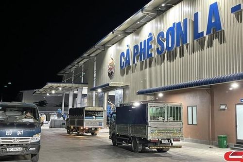 Nhộn nhịp Nhà máy chế biến cà phê Sơn La