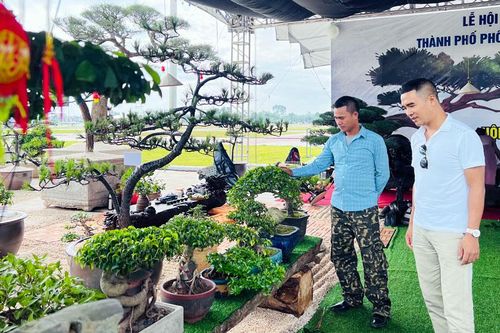 Tăng cường liên kết, quảng bá sinh vật cảnh