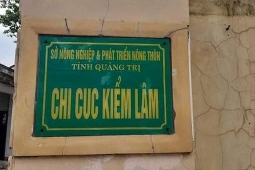 Khởi tố nguyên Chi cục trưởng Kiểm lâm Quảng Trị