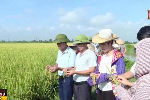 Ngày mai (30/12), Thủ tướng sẽ đối thoại với nông dân