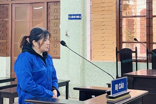 Mua bán trái phép chất ma túy lĩnh án 20 năm tù giam
