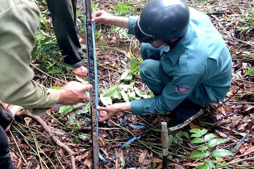 Cà Mau có trên 40.000 ha đất than bùn