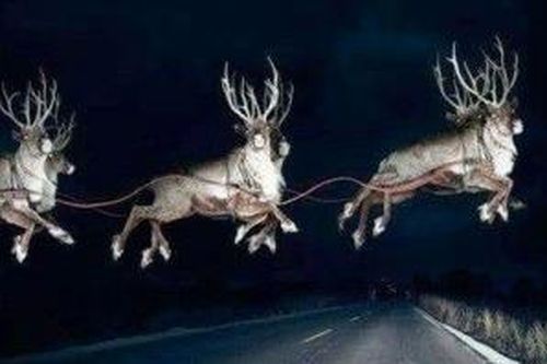 Kỳ cuối: Bận tối mắt vì 'ông già Noel'