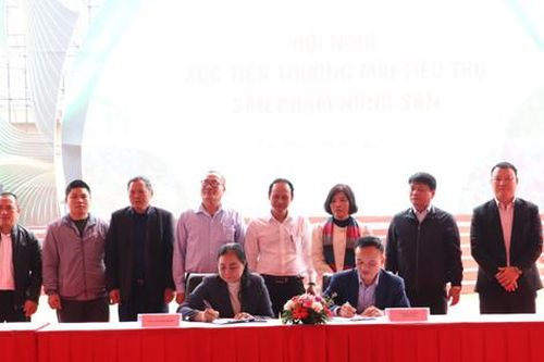 Xây dựng vùng nông sản hướng ra xuất khẩu