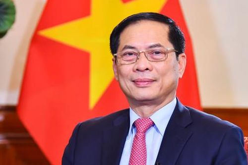 Đối ngoại và ngoại giao Việt Nam sẵn sàng vượt khó khăn, thử thách trong năm mới 2024