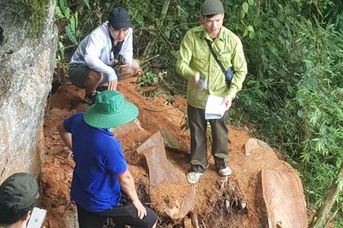 Công an tỉnh Lai Châu tăng cường công tác quản lý, bảo vệ rừng