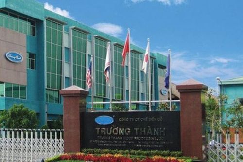 Kinh doanh thua lỗ, Gỗ Trường Thành (TTF) thoái toàn bộ vốn khỏi Viestones