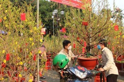 Có nên tính chuyện 'giải cứu' hoa Tết?