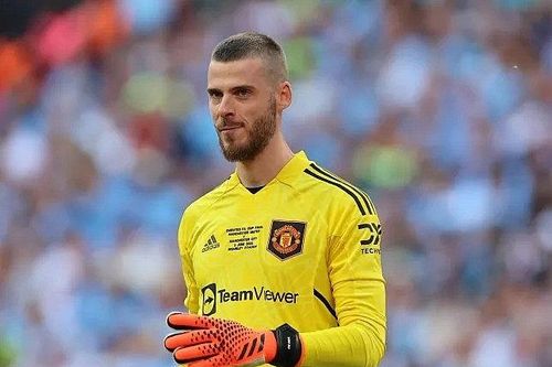 Alan Shearer khuyên Newcastle nên ký hợp đồng với De Gea