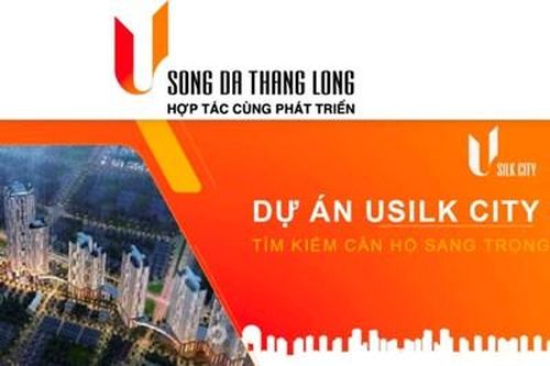 Vì sao Giám đốc Công ty Sông Đà - Thăng Long bị tạm hoãn xuất nhập cảnh?