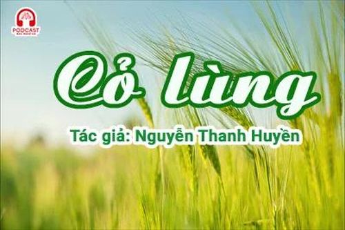 Tản văn hay: Cỏ lùng
