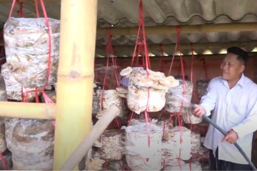 Đào tạo nghề cho lao động nông thôn: Tăng quy mô, nâng chất lượng