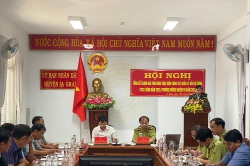 Ia Grai trồng mới hơn 55 ha rừng tập trung trong năm 2023