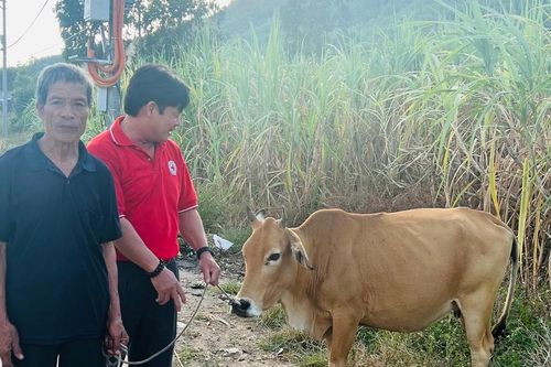 Tặng quà, áo ấm, sinh kế cho người nghèo, học sinh khó khăn huyện Kông Chro và Phú Thiện