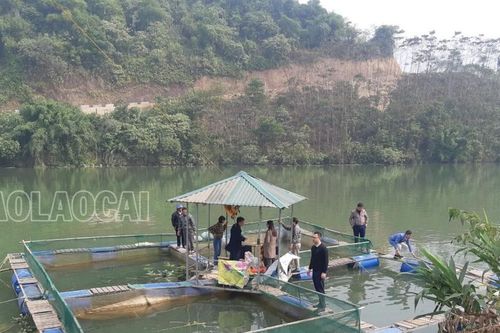 Làm việc thực địa để xác minh hiện tượng cá chết bất thường trên sông Chảy