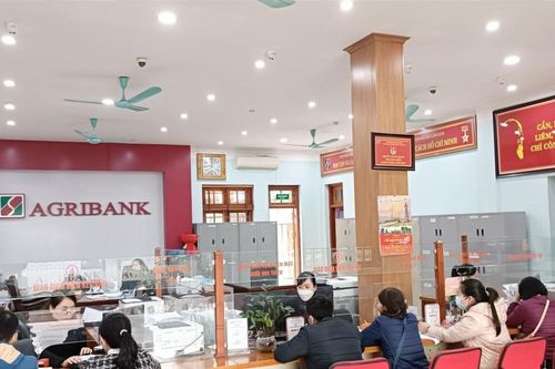 Agribank Bát Xát đáp ứng đủ nhu cầu vốn phát triển kinh tế