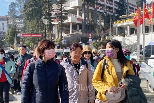 Hàng nghìn du khách lên Sa Pa đón Tết Dương lịch