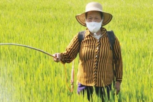 Chiều ngày 30/12, Thủ tướng đối thoại với nông dân
