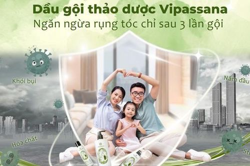 Dầu gội thảo dược Vipassana ngăn ngừa rụng tóc hiệu quả