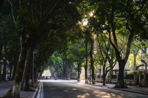 Thương nhớ vỉa hè