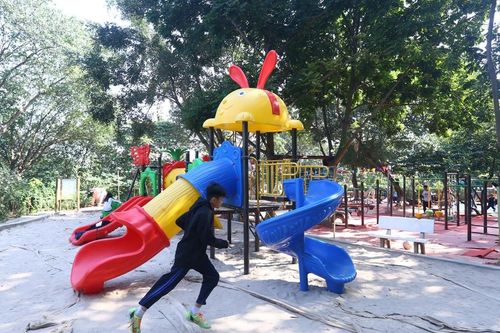 Dự án 'Vườn rừng cộng đồng' cải tạo từ bãi rác