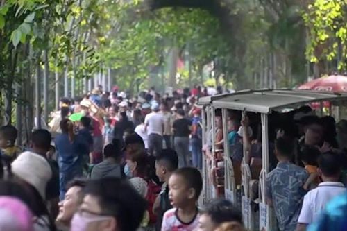 Hàng nghìn người đổ về Thảo cầm viên vui chơi đón Tết dương lịch 2024