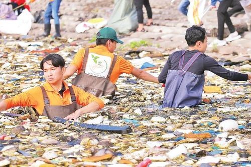 Chung tay giảm chất thải nhựa
