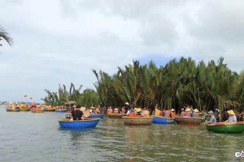 Rừng dừa Bảy Mẫu - Điểm đến lý tưởng cho du lịch sinh thái ở Hội An