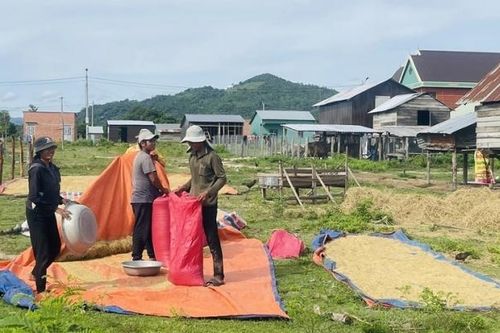 Gia Lai: Giải quyết tình trạng thiếu đất ở, đất sản xuất cho vùng đồng bào dân tộc ít người