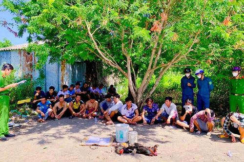 Bắt 12 đối tượng đá gà ăn tiền giữa vuông tôm giáp biển Bạc Liêu