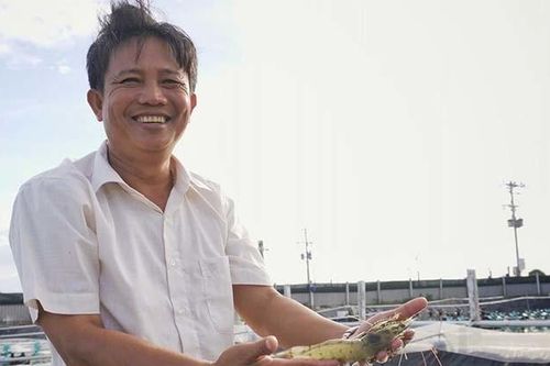 Anh Bảy Bến Tre nuôi tôm thu 90 tỷ, Bộ trưởng bày cách tăng hơn lợi nhuận