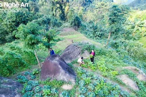 Nông dân vùng cao lật đá trồng rau sạch