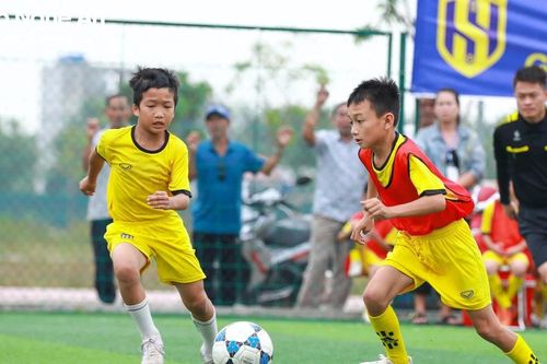 Nghệ An tạo nguồn cầu thủ từ các lớp nghiệp dư cơ sở