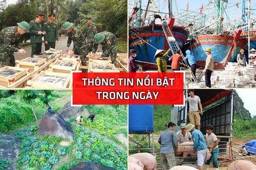 Nghệ An: Thông tin nổi bật ngày 31/12