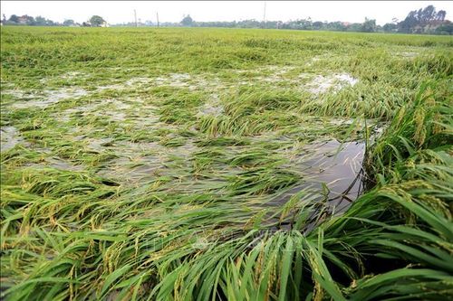 Chủ động ứng phó với thiên tai trong bối cảnh biến đổi khí hậu