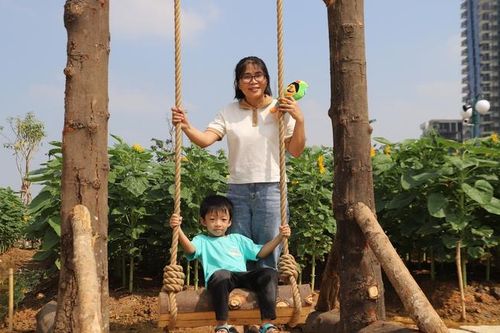 TPHCM: Các gia đình 'đội nắng' đi ngắm hoa hướng dương trong kỳ nghỉ Tết Dương lịch