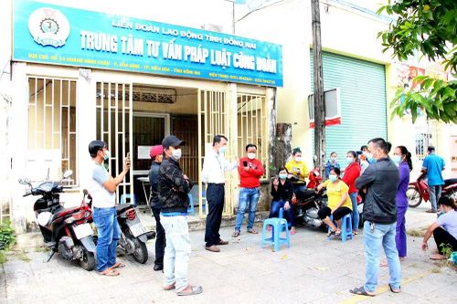 Gần 160 công nhân bị 3 doanh nghiệp nợ 4,8 tỷ đồng tiền lương