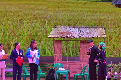 Lào Cai hoàn thành trên 80% các chỉ tiêu Dự án 8