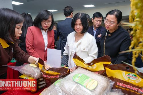 Chung sức đưa sản phẩm miền núi, vùng sâu, vùng xa, hải đảo đi xa hơn