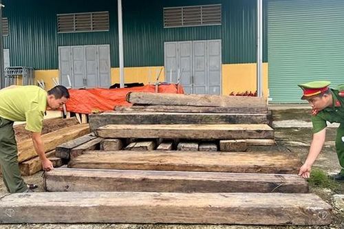Ngăn chặn tình trạng khai thác, vận chuyển, tàng trữ trái phép lâm sản