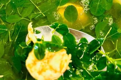 Món ăn từ chùm ngây cải thiện sức khỏe mùa đông