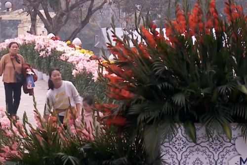 Hà Nội: Các điểm vui chơi trong ngày đầu năm mới thu hút khách du lịch
