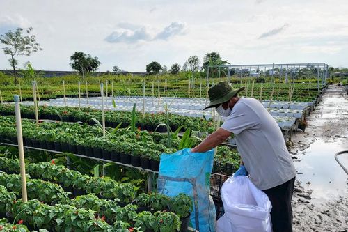 Có nên duy trì thuốc bảo vệ thực vật?