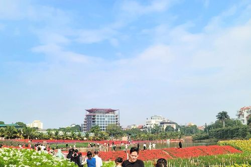 Thung lũng hoa Hồ Tây thu hút đông đảo người dân đến 'check in' trong ngày Tết Dương lịch