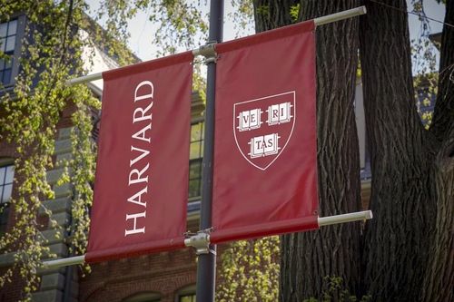 Đại học Harvard suy yếu chưa từng có