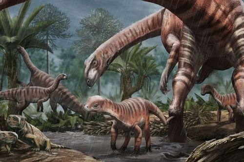 Hành trình khám phá ngược thời gian với 'Biên niên sử về khủng long'